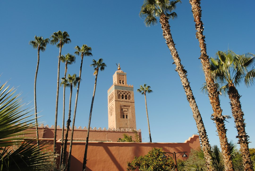 Onde comer em Marrakech: da comida de rua aos restaurantes de chef